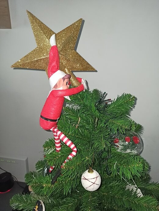 Klaus escalando el árbol
